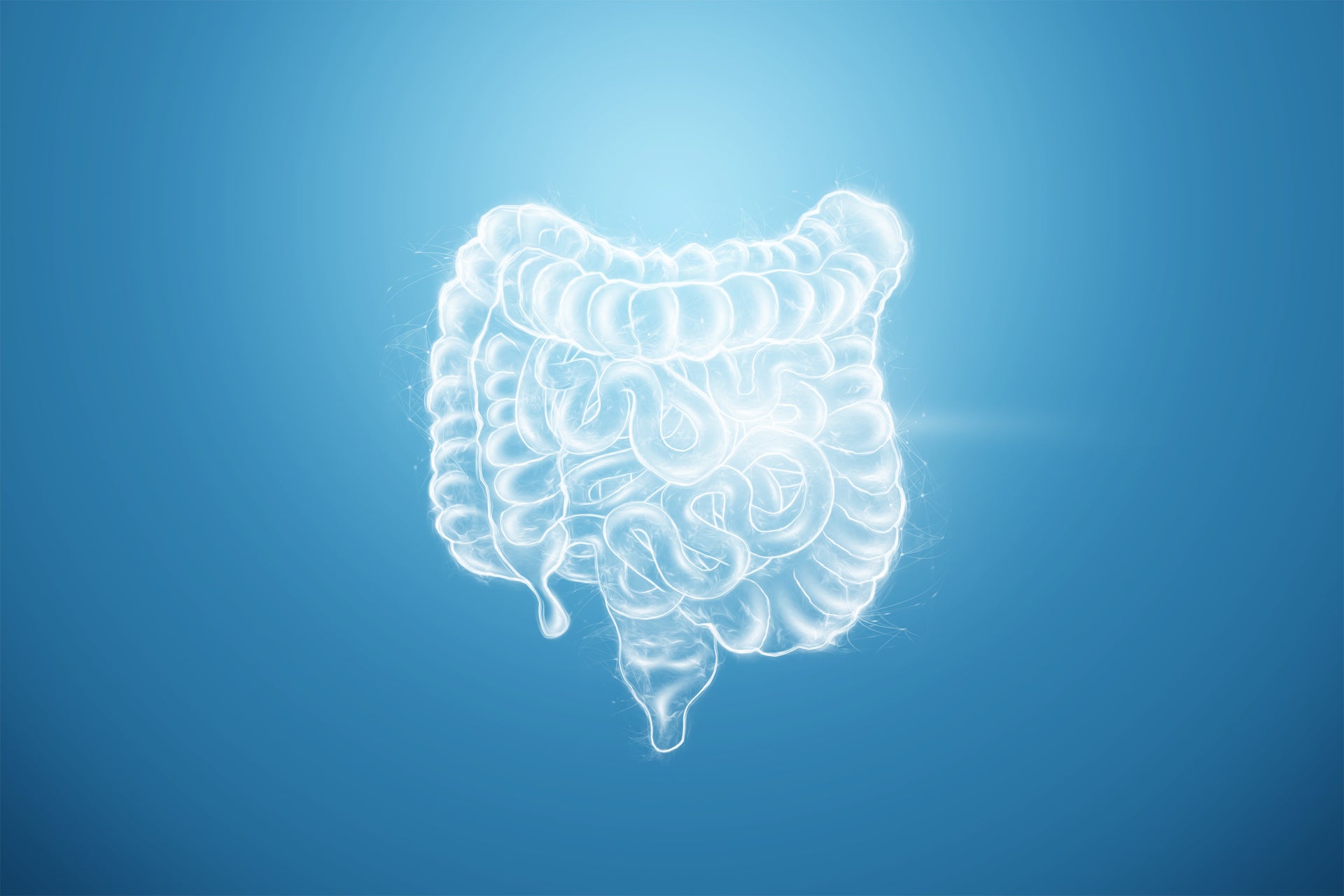 Probiotics: Feed your gut, heal your gut! iThrive Essentials