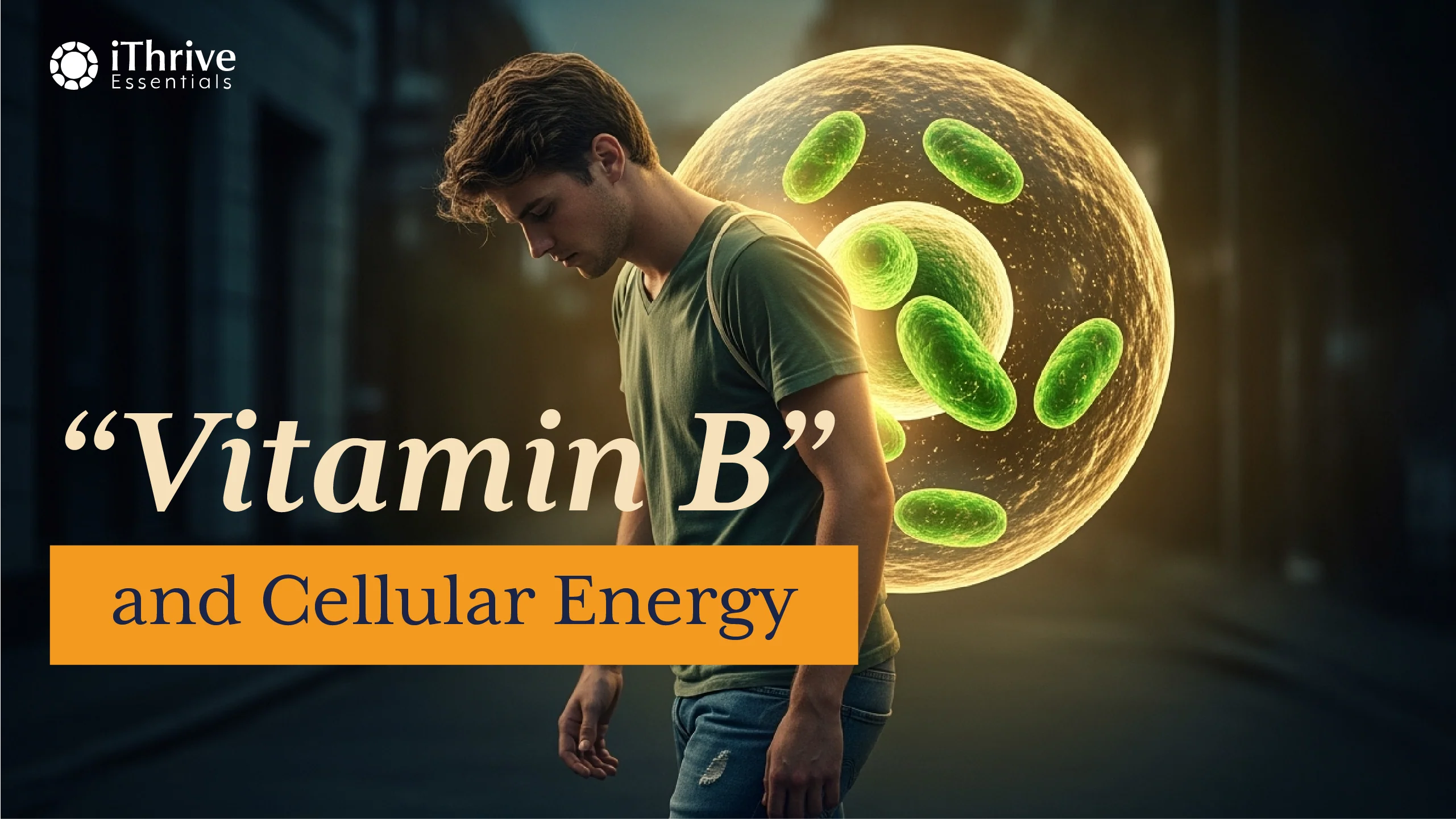 Fatigue, Fog & Frustration? Your Cells Might Be Screaming for B Vitamins