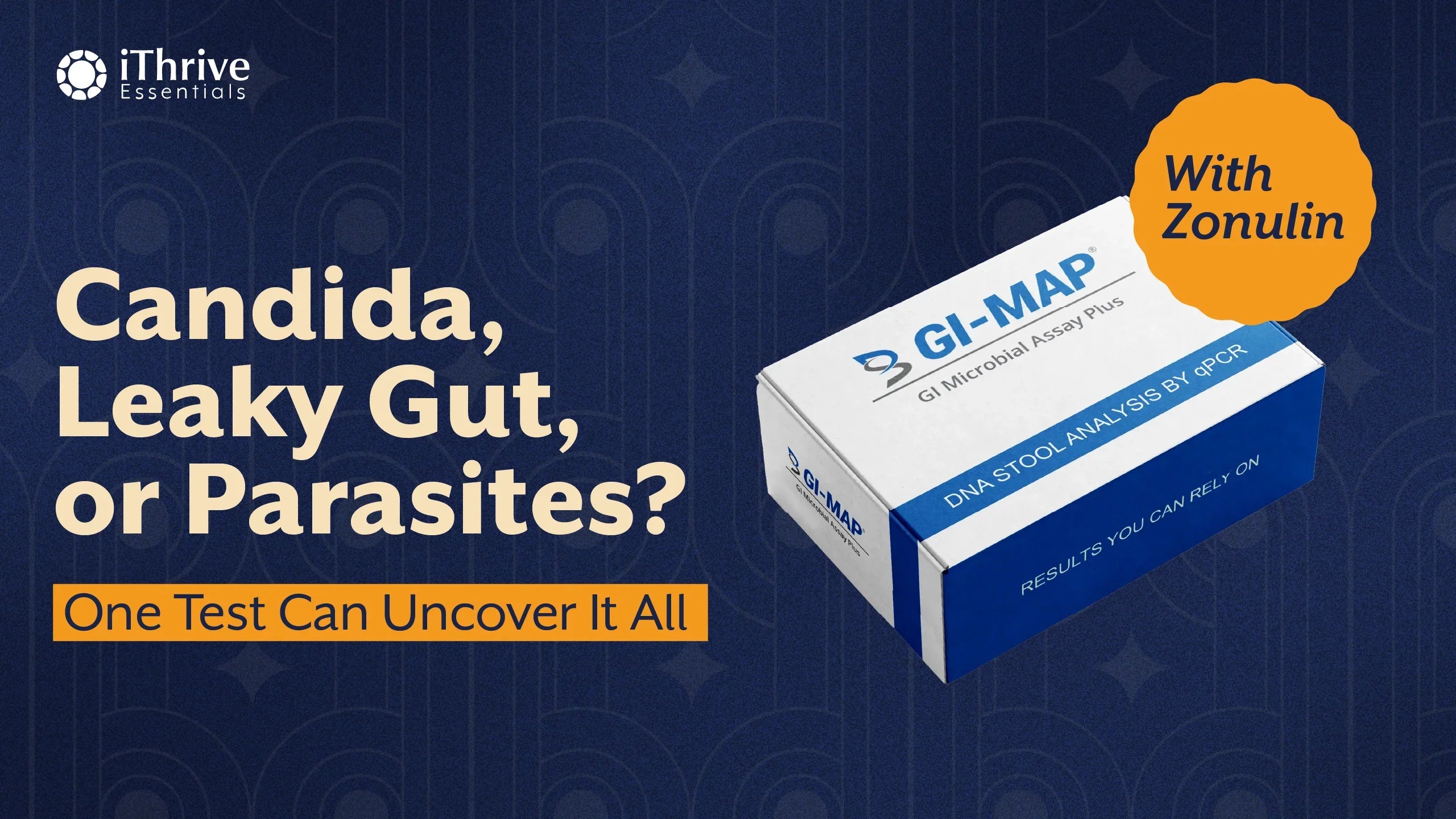 Heal your Gut from the inside out | How the GI-MAP and Zonulin Test can help