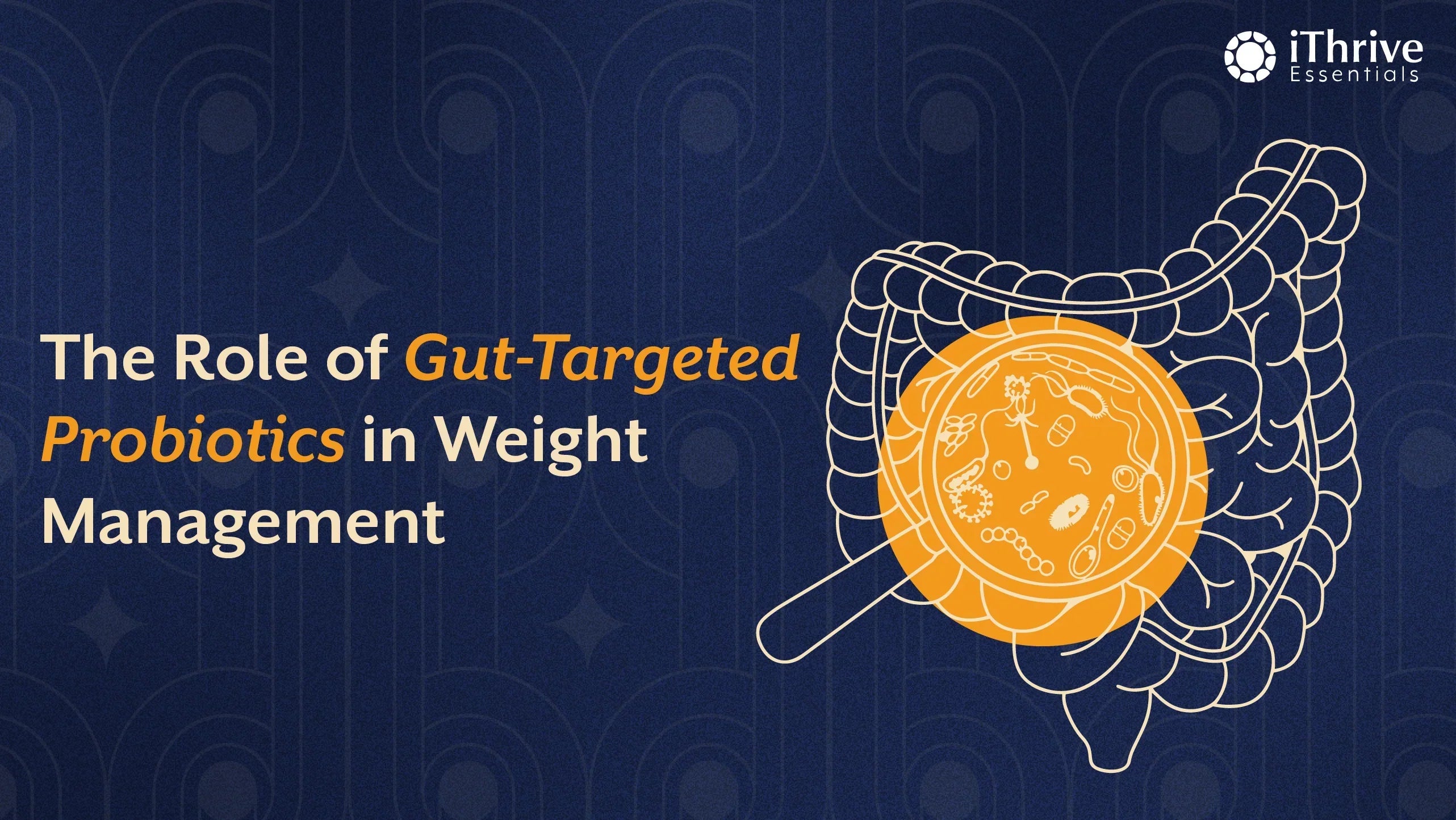 The Role of Gut-Targeted Probiotics in Weight Management