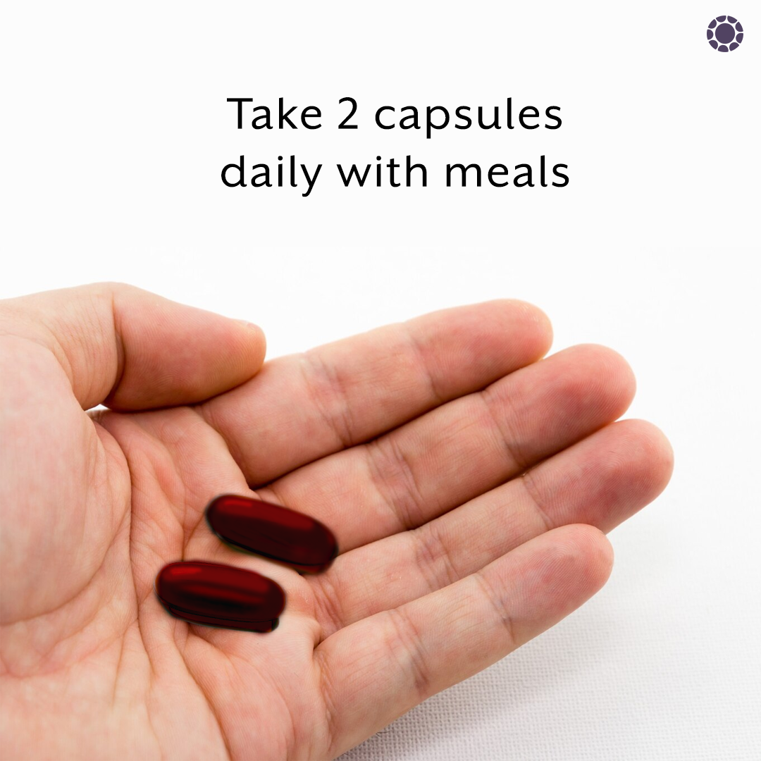 iThrive Essentials Antarctic Krill Oil - 60 Capsules iThrive Essentials