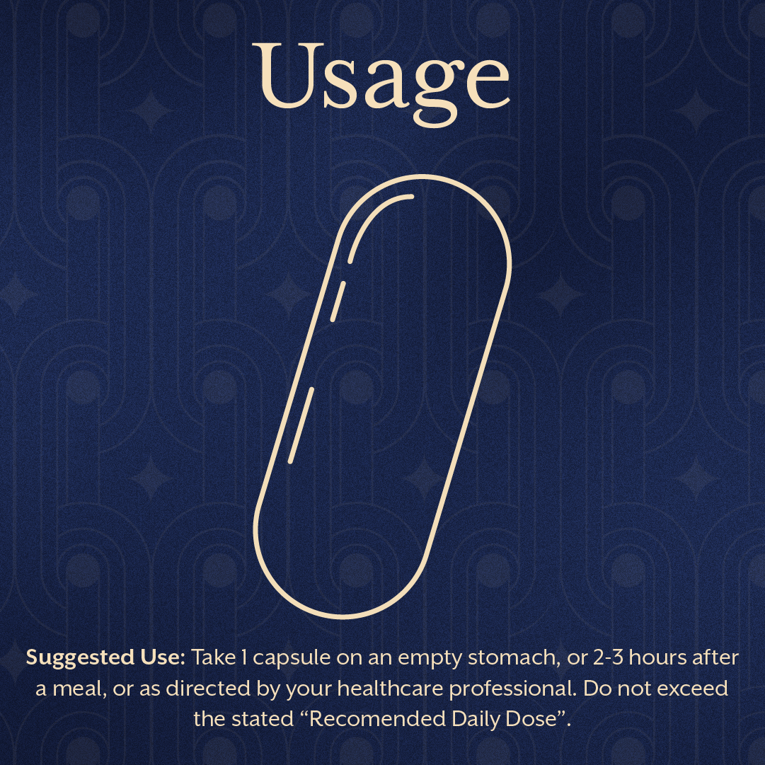 Probiotics with Prebiotics - 30 Capsules