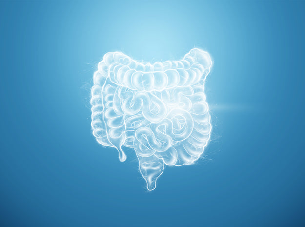 Probiotics: Feed your gut, heal your gut! iThrive Essentials