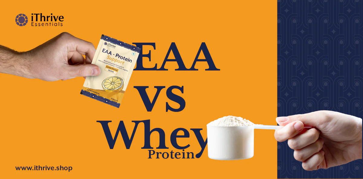 Protein Supplements