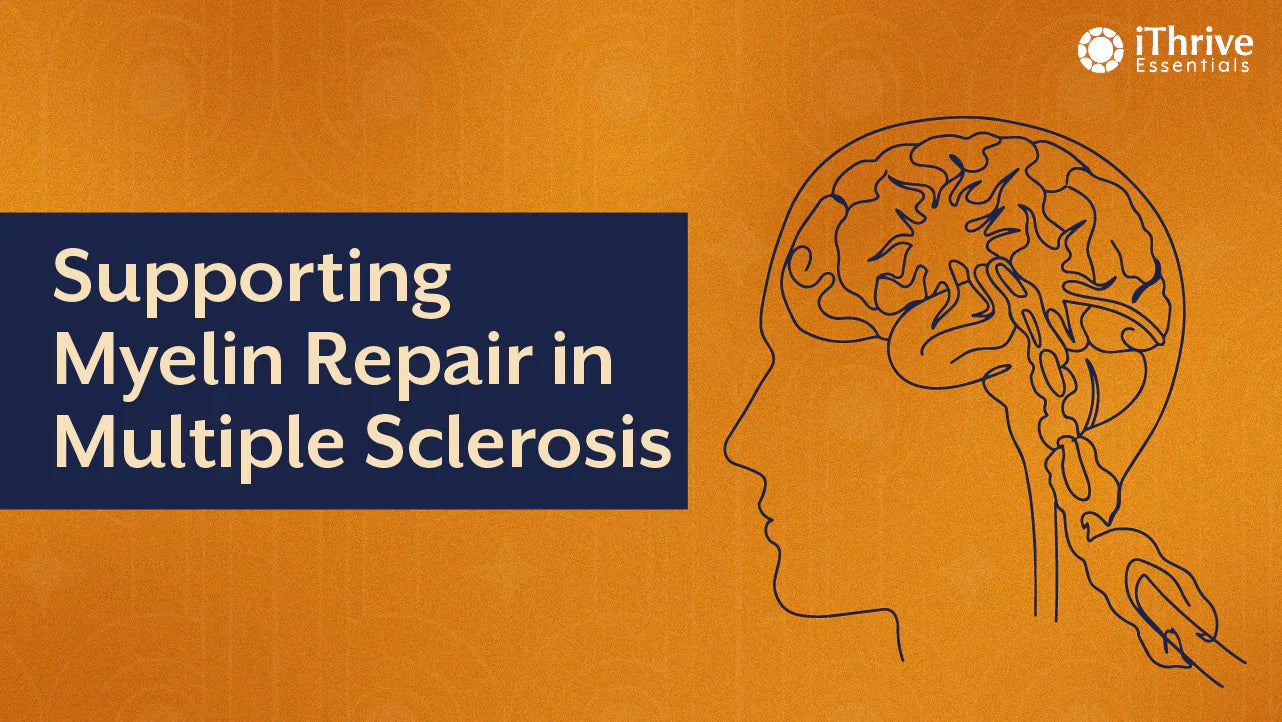 3 Nutrients That Support Myelin Repair in Multiple Sclerosis