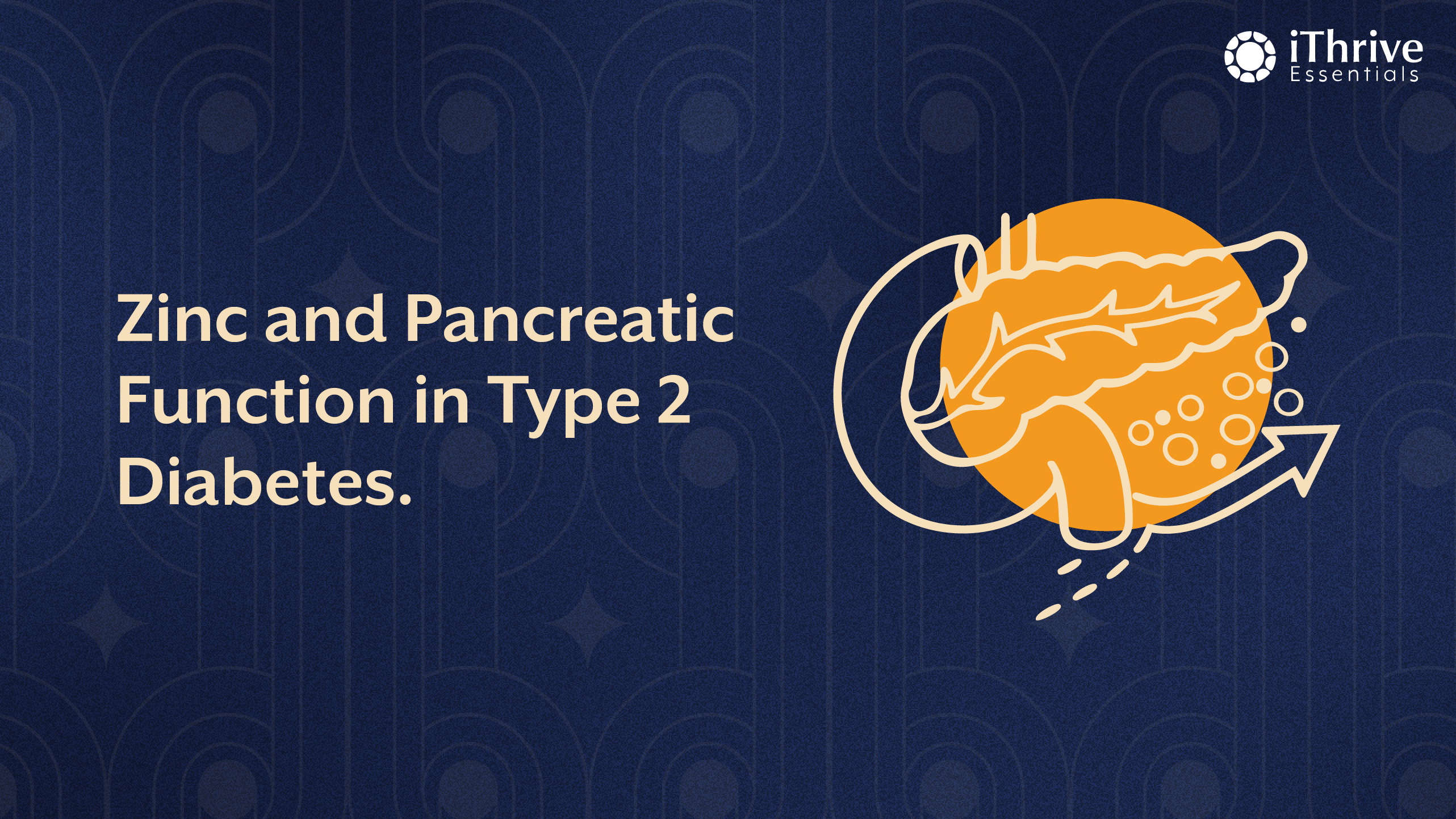 Zinc and Pancreatic Function: The Overlooked Mineral in Type 2 Diabetes