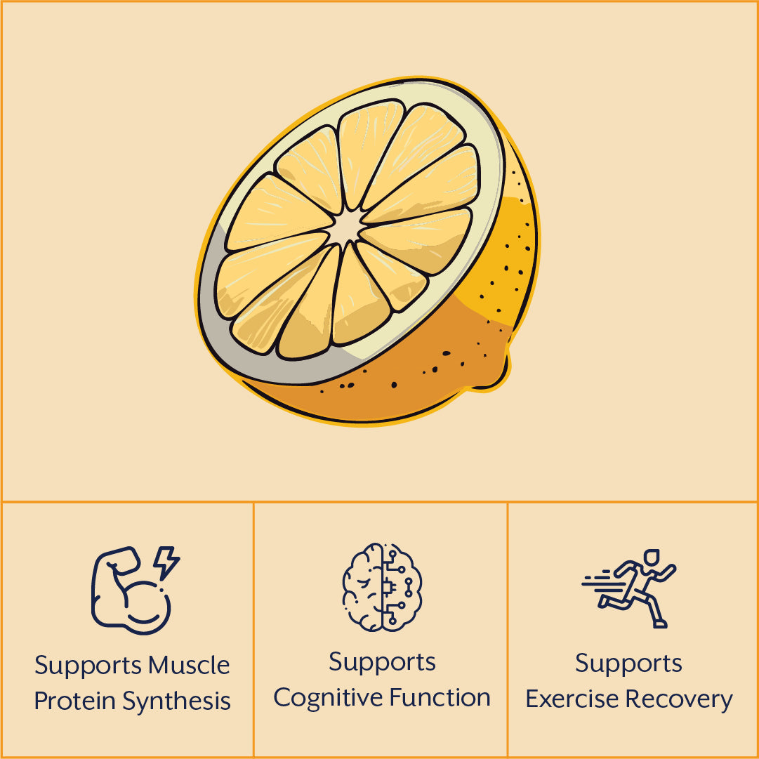 EAA Protein Support | All 9 Essential Amino Acids + Creatine | Lemon Flavor - 248g