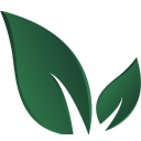 Green leaf icon