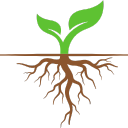 Illustration of a plant with green leaves and brown roots on a white background